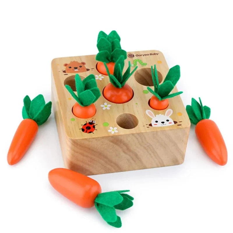 Pull & Play Harvest Carrot Toy