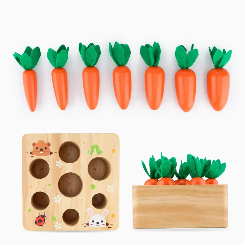 Pull & Play Harvest Carrot Toy
