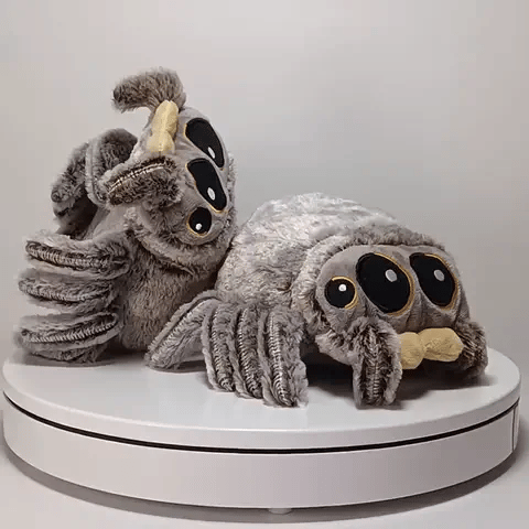 Baby Spider Plush Toy